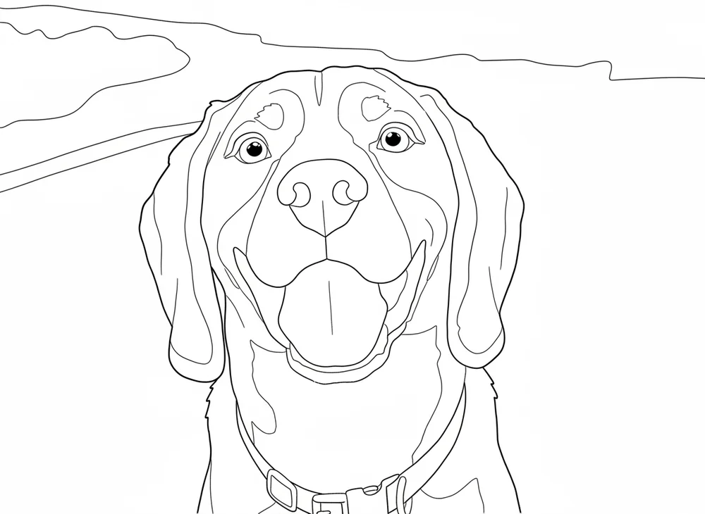 Page de coloriage : Beagle